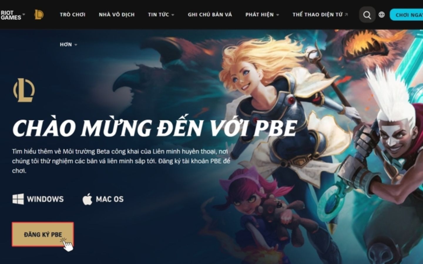 I. TFT PBE là gì? I. TFT PBE là gì?